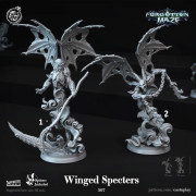 Cast n Play - Labyrinthe Oublié - Spectres Ailés